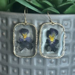 Purple and yellow Montana blooms
