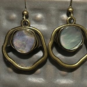 Antique Bronzed framed Abalone