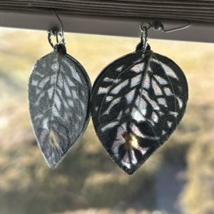Monstera Leaves