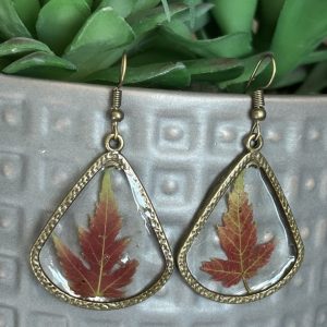 Red Maple