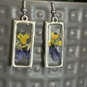 Framed Montana Blooms