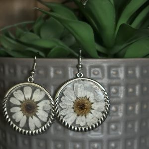 Large Daisy's
