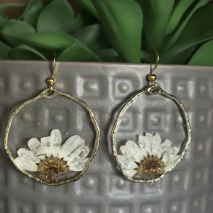 Halved Daisy's