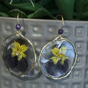 Montana blooms
